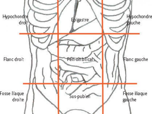 Les maux de ventre, en quoi l'ostéopathie viscérale peut vous aider ?